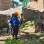 Sapi Ngamuk, Petugas Diskar PB Jadi Panitia Kurban Dadakan