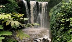 Harga Tiket Wisata Bandung Taman Hutan Raya Ir H Djuanda/Foto: Instagram (@tahuradjuanda.official)