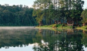 5 Rekomendasi Wisata Ciwidey yang Bikin Adem! 5 Rekomendasi Wisata Ciwidey yang Bikin Adem!