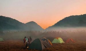 Harga Tiket dan Fasilitas Terbaru di Wisata Bandung Ranca Upas/foto: Instagram (@explorerancaupas)