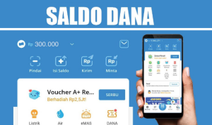 saldo dana