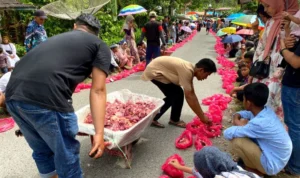 Tradisi Unik Pembagian Daging Kurban di Sitingkai Agam
