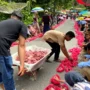 Tradisi Unik Pembagian Daging Kurban di Sitingkai Agam