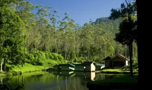 Ranca Upas: Wisata Alam Bandung yang Memikat