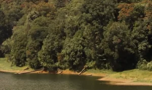 Wisata Alam di Bandung Ini Wajib Kamu Kunjungi!