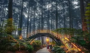 Rekomendasi Wisata Alam Bandung, Sejuk Banget! Rekomendasi Wisata Alam Bandung, Sejuk Banget! (sumber gambar: pengguna Google Maps Endang Boni)