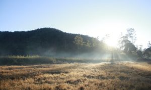 Rekomendasi Tempat Wisata di Bandung yang Cocok untuk Camping