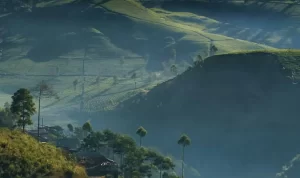 Beberapa Rekomendasi Wisata Alam yang Ada di Bandung! (@kfbpj)