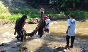Bersama KLHK, Ribuan Pegawai PLN Group Bersihkan Pantai dan Sungai Serentak Se-Indonesia Bersama KLHK, Ribuan Pegawai PLN Group Bersihkan Pantai dan Sungai Serentak Se-Indonesia