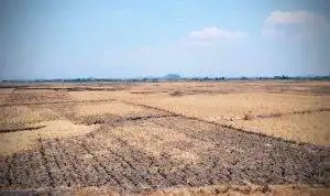 Ist. Antisipasi Kekeringan di Masa El Nino, Pemprov Jabar Siapkan Skema Antisipasi. Dok. Jabar Ekspres.