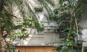 Rekomendasi Caffee Cozy di Bandung! (@jardinbdg)