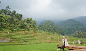Usung Kearifan Lokal! Desa Purwabakti Kabupaten Bogor Lolos 75 Besar Terbaik ADWI 2023 Pengunjung saat menikmati Desa Wisata Purwabakti. Foto: Sandika Fadilah/Jabarekspres.com
