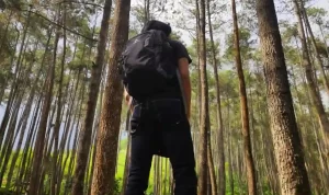 Wisata Batu Kuda Bandung Menikmati Alam Sambil santuy! Wisata Batu Kuda Bandung Menikmati Alam Sambil santuy!