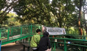 Wisata Hutan Alam Babakan Siliwangi Bandung