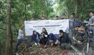 Wujudkan Perusahaan Ramah Lingkungan, PLN Tanam Ratusan Pohon di Kalsel