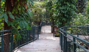 Menikmati Liburan Seru dengan Wisata Gratis di Bandung