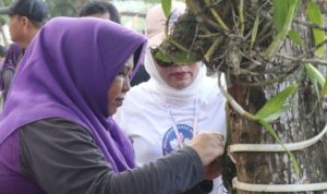 Community Expects Pelaihari Moon Orchid to be Protected from Extinction
