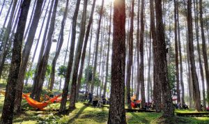 Menjelajahi Keindahan Wisata Alam Terdekat di Bandung