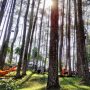 Menjelajahi Keindahan Wisata Alam Terdekat di Bandung