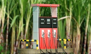 Bocoran Harga Biotanol, Simak 3 Fakta BBM Berbahan Tebu Ini