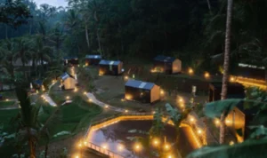 Wellness Tourism is Gaining Popularity, Bobocabin Combines Yoga and Nature in Ubud Wellness Tourism is Gaining Popularity, Bobocabin Combines Yoga and Nature in Ubud