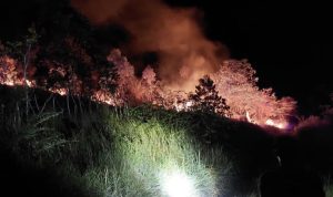 Dry Season Burns Two Hectares of Land!
