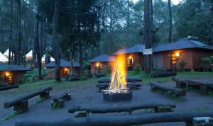Inilah Pesona Unik dan Menarik dari Wisata Grafika Cikole Lembang Bandung
