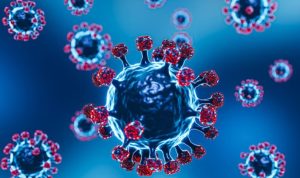 Apa Itu Endemi? Pahami Pengertiannya di Sini