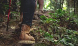 Tempat Desitnasi Wisata Bandung yang Cocok untuk Hiking