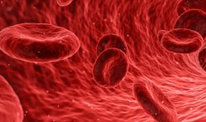 Apa Itu Thalasemia? Berikut Gejala dan Pengobatannya/Foto: Canva