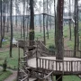 wisata bandung hutan pinus cikole pal 16