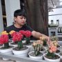 Kaktus Masih Diminati, Harganya Stabil