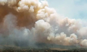 New York Air Quality Could Worsen Due to Wildfires in Canada