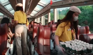 6 Fasilitas Kereta Panoramic Bandung Buat Takjub, Segini Harga Tiket untuk Wisatawan