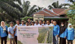 Plantation Agency Urges Farmers to Avoid Using Pesticides