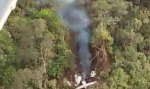 Breaking News! Pesawat Jatuh di Papua, Begini Kondisinya Breaking News! Pesawat Jatuh di Papua, Begini Kondisinya