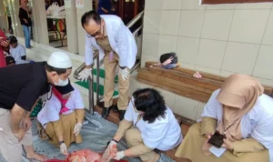 Kasudin KPKP Kerahkan Ratusan Petugas Pantau Kesehatan Hewan Kurban!
