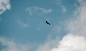 Prakiraan Cuaca Bandung Hari ini, Minggu, 2 Juli 2023