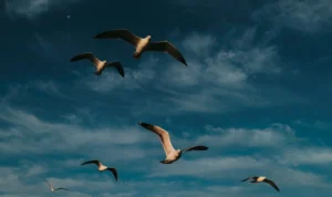 Prakiraan Cuaca Bandung Hari ini, Sabtu, 1 Juli 2023