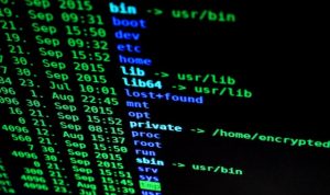 Ilustrasi Tanda HP Kena Hack/ Pexels/ Pixabay