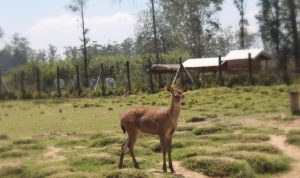 3 Tempat Wisata Bandung yang Murah dan Menyajikan Pemandangan Menakjubkan 3 Tempat Wisata Bandung yang Murah dan Menyajikan Pemandangan Menakjubkan