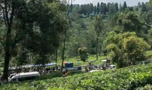 6 Rekomendasi Tempat Wisata di Puncak Bogor yang Cocok untuk Menghabiskan Waktu Liburan 6 Rekomendasi Tempat Wisata di Puncak Bogor yang Cocok untuk Menghabiskan Waktu Liburan