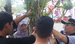 RSUD Kandangan Becomes The First Indonesian Orchid Conservation Hospital