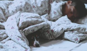 5 Rekomendasi Bahan Selimut untuk Kenyamanan dan Kualitas Tidur Terbaik!