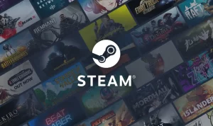 Cara Install dan Main Game Online di Steam