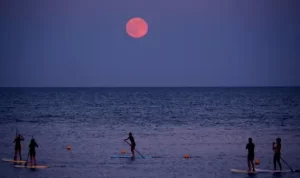 fenomena strawberry moon