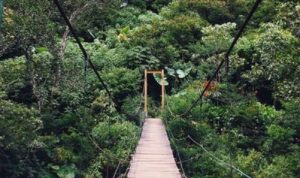 5 Wisata Terbaik di Bandung yang Wajib Dikunjungi, Jangan Sampai Ketinggalan!