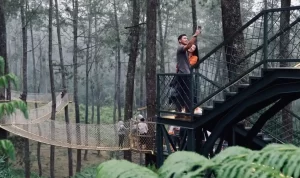 Skywalk Cikole: Wisata Bandung Bagaikan Berjalan di Atas Awan Menatap Panorama Memukau