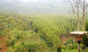 Rekomendasi Wisata Bandung: Wah Ada View Pemandangan Terbaik Loh, Simak Di Sini