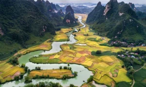 Vietnam is a Popular Tourist Destination for Indonesian Visitors